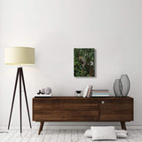 Red-Fronted Brown Lemur Male, Ranomafana Np, Madagascar-Canvas Art-18X24