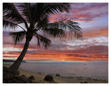 Coconut Palm At Sunset Near Dimiao, Bohol Island, Philippines-Paper Art-42,,X32,,