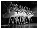 Swan Lake Ballet-Paper Art-18,,X14,,