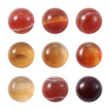 Crafans 50Pcs Natural Agate 10mm Round Gemstone Cabochons Half Round Cabochons Dome No Hole Healing Power Stone Flat Back Chakra
