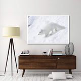 Arctic Fox On Snow Drift, Tundra, Arctic-Paper Art-62,,X42,,