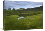 Boreal Forest With Pond And Antimony Mountain In The Background, Ogilvie Mountains, Yukon Territory, Canada-Canvas Art-24X18
