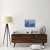 Humpback Whale Breaching, Maui, Hawaii-Canvas Art-24X18