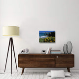 California Poppies On Coastal Cliff, Jughandle State Reserve, California-Canvas Art-24X18