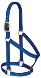 Weaver Leather Basic Non-Adjustable Nylon Horse Halter, Blue, 1 Large Horse