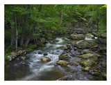 Little Stony Creek Flowing Through Jefferson National Forest, Virginia-Paper Art-26,,X20,,