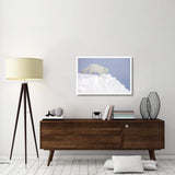 Arctic Fox On Snow Drift, Tundra, Arctic-Paper Art-38,,X26,,