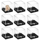 BENECREAT 10Pcs Square Specimen Display Case, 1.22x1.22Inch Sample Displaying Boxes with Hinged Lids Plastic Display Case for Co