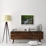Little Stony Creek Flowing Through Jefferson National Forest, Virginia-Paper Art-34,,X26,,