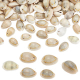 PH PandaHall 200 pcs 2 Hole Seashell Natural Cowrie Spiral Sea Shell Links 12~18mm Seashell Beads Beach Sea Shell Beads for Earr