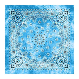 Bismaadh Tie Dye Novelty Gradient Classic Paisley Bandana Handkerchief, Facemask, Scarf, Headcover Unisex