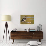Wood Duck Female, North Chagrin Reservation, Ohio-Paper Art-38X26