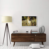 Mountain Lion Or Cougar Walking Through Tall Grass Towards Camera, North America-Paper Art-38,,X26,,