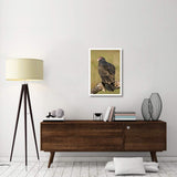 Turkey Vulture, Howell Nature Center, Michigan-Paper Art-22X32