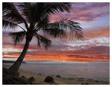 Coconut Palm At Sunset Near Dimiao, Bohol Island, Philippines-Paper Art-50,,X38,,
