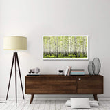 Birch Forest In Spring-Paper Art-50,,X26,,