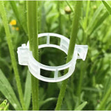 Vernie 100 Pcs Plant Support Clips For Vegetables To Grow Upright And Healthier