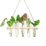 Ecofynd 1Tier Wall Hanging Test Tube Planter With Wooden Holder, Air Planter Glass Vase Holder With 5 Test Tube, Home Decor Hyd