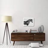 Orpheus, Arab Horse-Paper Art-26,,X20,,