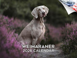 2025 2026 Weimaraner Calendar - Dog Breed Monthly Wall Calendar - 12 x 18 Open - Thick No-Bleed Paper - Giftable - Academic Teac