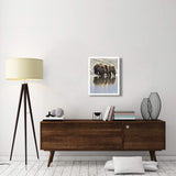Grizzly Bear Mother And Yearling Cubs Drinking, Katmai National Park, Alaska-Paper Art-22,,X26,,