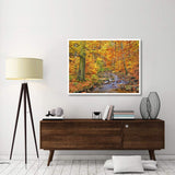 Beech Forest In Autumn, Ilse Valley, Germany-Paper Art-50,,X38,,