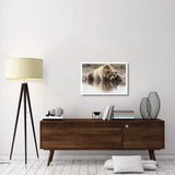 Grizzly Bear Sleeping On Shore, Katmai National Park, Alaska-Paper Art-32,,X22,,