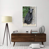 Black Bear Cub Leaning Against Tree, Orr, Minnesota-Paper Art-34,,X50,,