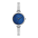 Timex Analog Watch For Women With Mother Of Pearl Blue Round Dial & Silver Brass Bracelet Band Water Resistant Women'S Wrist Wat
