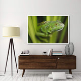 Green Iguana Amid Green Leaves, Roatan Island, Honduras-Paper Art-62,,X42,,