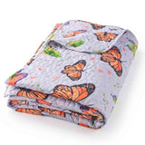 Novelty Spring-Themed Quilt Sets Or Accent Pillows - Butterflies Twin -Like New