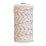 Feelmate 3mm Cotton Rope 328 Feet Macrame Cord for Kitchen String Butchers Twine for Roasting, Tying Meat, Trussing Turkey, Gift