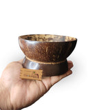 Coco Land Coconut Shell Planter Bowl