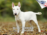 2025 2026 Bull Terrier Calendar - Dog Breed Monthly Wall Calendar - 12 x 18 Open - Thick No-Bleed Paper - Giftable - Academic Te