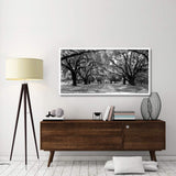 Avenue Of Oaks, South Carolina-Paper Art-62,,X32,,