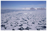 Sea Ice Break-Up, Aerial View, Transantarctic Mountains, New Harbour, Mcmurdo Sound, Ross Sea, Antarctica-Paper Art-62,,X42,,