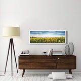 Sunflower Field, Plateau Valensole, Provence, France-Paper Art-56,,X20,,