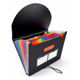 Befunky 12 Pockets File Organizer, A4/Letter Size Paper Folder, Expanding File Folder, Accordion Document Organizer, File Folder