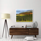 Boreal Forest Beneath Goldensides Mountain, Tombstone Territorial Park, Yukon Territory, Canada-Paper Art-50,,X38,,