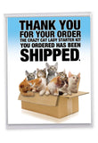 NobleWorks J8016 Jumbo Funny Birthday Card: Cat Lady Starter Kit with Matching Envelope