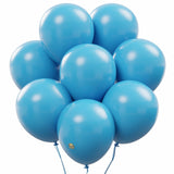AFTERLOON Biodegradable Balloons Light Blue 12 Inch 100 Pack, Matte Color Thickened Extra Strong Latex Helium Float, for Baby Sh