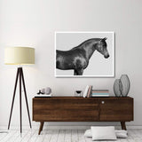 Orpheus, Arab Horse-Paper Art-50,,X38,,