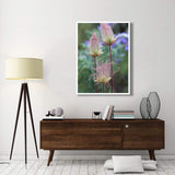 Prairie Smoke Okanagan Valley, British Columbia, Canada-Paper Art-38,,X50,,