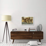 African Lion Three Cubs Resting On A Rock, Hwange National Park, Zimbabwe-Paper Art-32,,X22,,