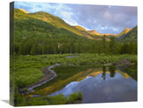 Pond And Boreal Forest, Ruby Range Near Crested Butte, Colorado-Canvas Art-24X20