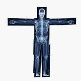 21pcs Human Body Xrays for Kids Educational Set | X Rays for Classroom | Toddler X Ray Toy | Skeleton Xray | X-Ray Science Kit |