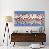 Lesser Flamingo, Lake Nakuru, Kenya-Paper Art-74,,X38,,