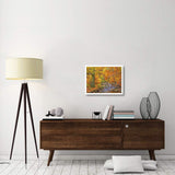 Beech Forest In Autumn, Ilse Valley, Germany-Paper Art-26,,X20,,