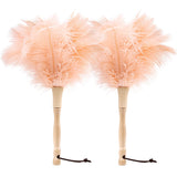 MehelloFeather Ostrich Feather Duster 12 Inch Handheld Duster Supplies, Wooden Handle Feather Duster for Cleaning Keyboard Home Car Office (Champagne 2Pcs)