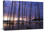 Dead Trees In Lower Geyser Basin At Sunset, Yellowstone Np, Wyoming-Canvas Art-24X18